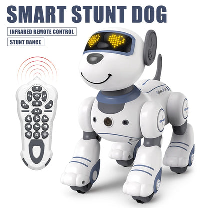 SmartDog Dance & Play