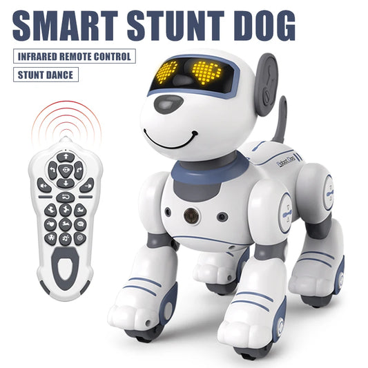 SmartDog Danse et jeu