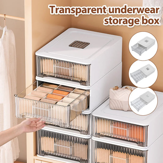 ClosetCharm Underwear Storage