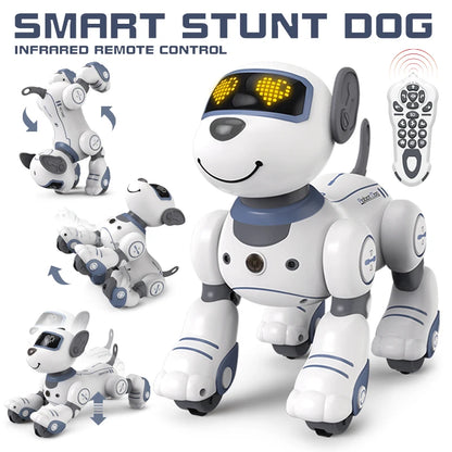 SmartDog Dance & Play